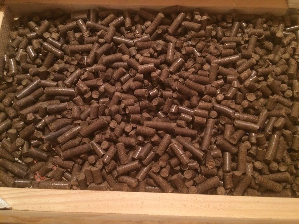 ForumEA/E/ultimo pellet.jpg
